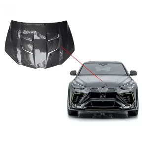 Lamborghini urus mansory hood